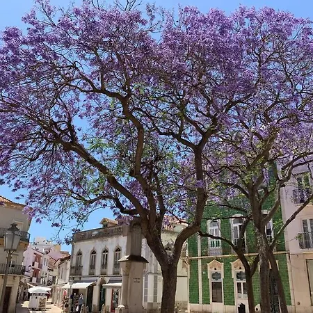 Casa Sofia Lagos